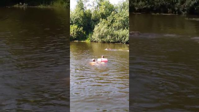 д. Зайково. Купание. смотреть онлайн