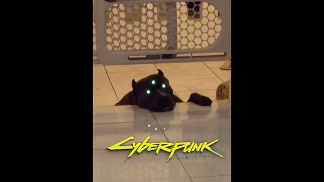 Cyberpunk 2077 meme compilation смотреть онлайн