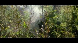 Доброе утро, Вьетнам! (Ден Назгул)