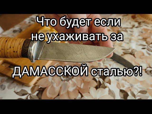 Что будет если не ухаживать за ножом из дамасской стали?! смотреть онлайн