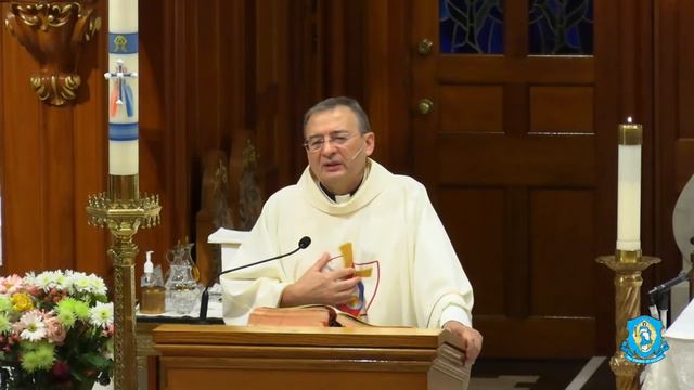 Sat, Apr 24 - Holy Mass from the National Shrine смотреть онлайн