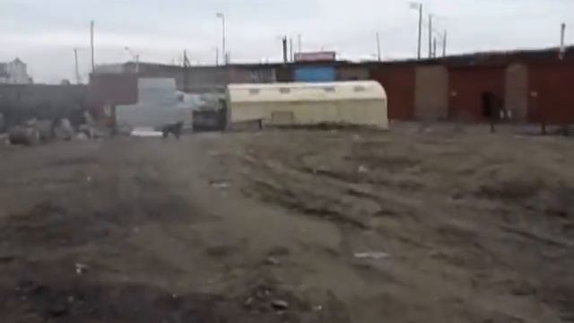 Щеночки . смотреть онлайн