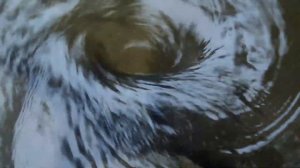 ВОДОВОРОТ, круговое движение потока