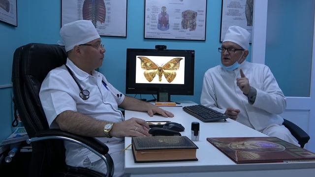 Восковая моль ОГНЕВКА ПРО смотреть онлайн