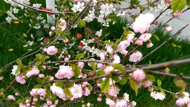 С чистого листа 1 - 4 серии | Мелодрама 2021 смотреть онлайн