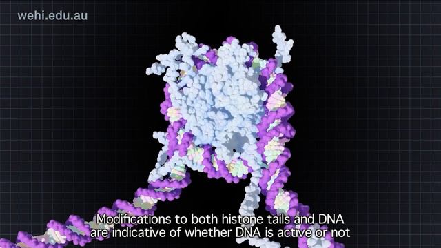 Научный Прорыв В Продлении Жизни И Долголетии смотреть онлайн