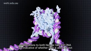 Научный Прорыв В Продлении Жизни И Долголетии