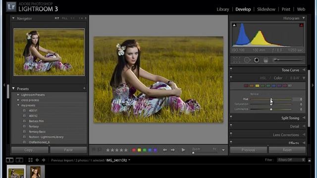 Lightroom. Работа с панелью HSL/Color/B&W. Часть №2. (Евгений Карташов, Фото-Монстр) смотреть онлайн