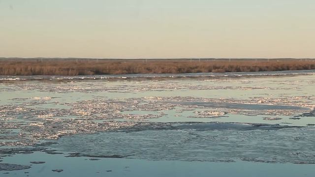 Ледоход на Северной Двине 2021 смотреть онлайн