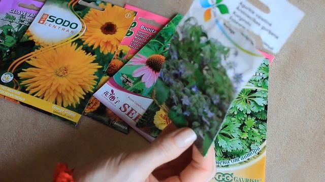 СУПЕР ПОЛЕЗНЫЕ ЦВЕТЫ И РАСТЕНИЯ ДЛЯ ОГОРОДА И ДЛЯ ЗДОРОВЬЯ ! смотреть онлайн