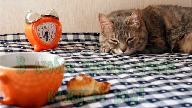 любителям ☕КОФЕ?☕поздравление с днём кофе смотреть онлайн