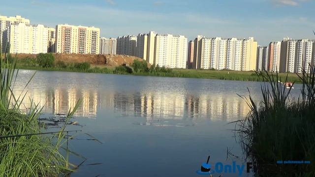 Река Алешинка. Ново-Переделкино. Рыбалка. Ловля карася смотреть онлайн