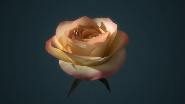 3D Rose Animated смотреть онлайн