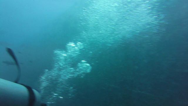 Египет Шарм Эль Шейх Погружение на Тистельгорм