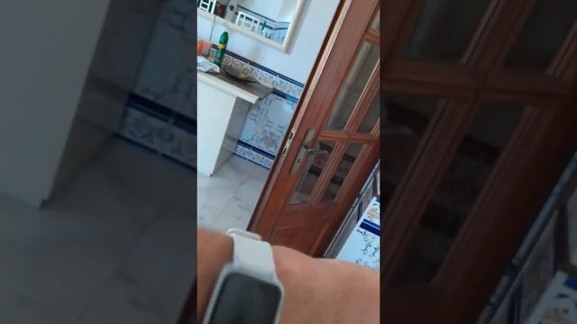 HAYLOU LS01 Smart Watch смотреть онлайн