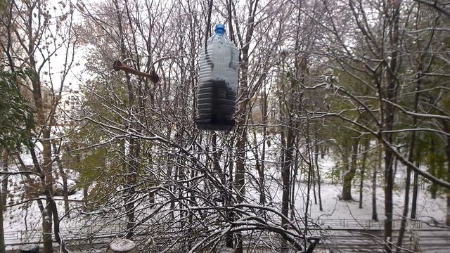 кормушка для синиц на балкон =) смотреть онлайн