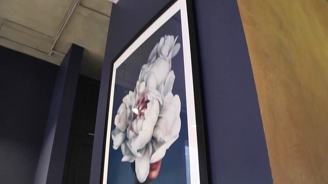 Оформление мебельного шоу рума красками DULUX смотреть онлайн