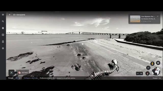 Скелет змеи в ГУГЛ КАРТАХ смотреть онлайн