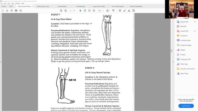 Acupoint Pressure Therapy 5 - The Eight-Petalled Lotus of Asian Medicine смотреть онлайн