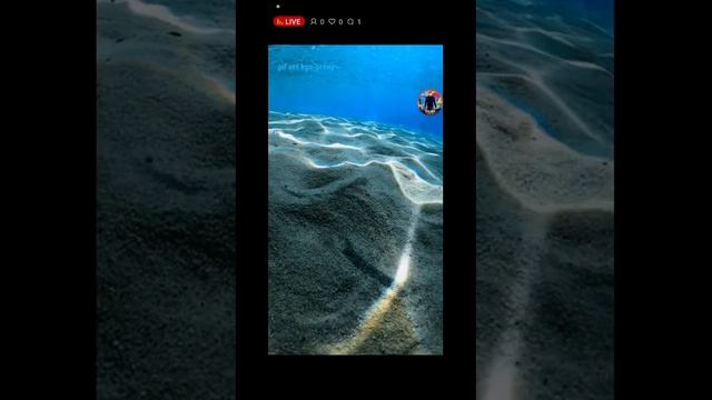 Новая Музыка смотреть онлайн