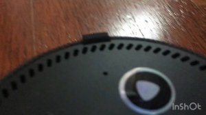 Алиса калонка охотится за мной