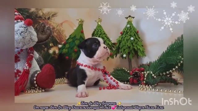 31 декабря 2023 г.