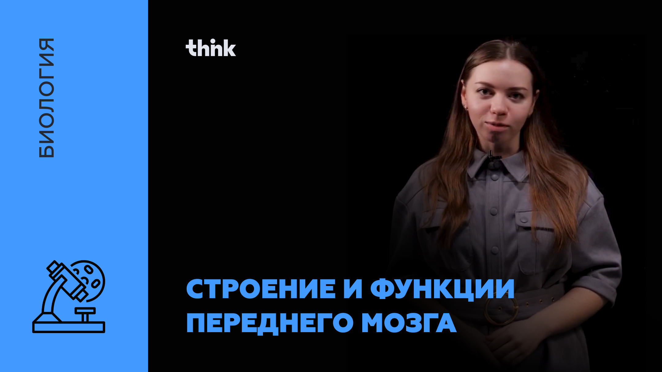 ЦНС. Строение и функции переднего мозга | Биология смотреть онлайн