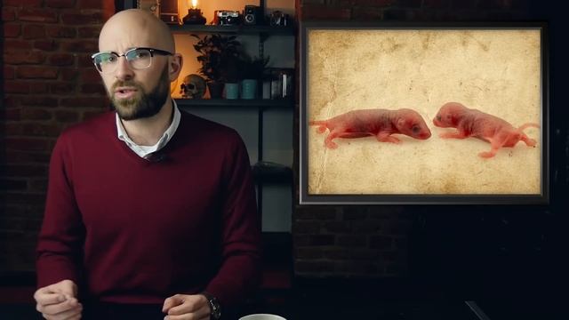 That Time a Guy Tried to Build a Utopia for Mice and it all Went to Hell смотреть онлайн