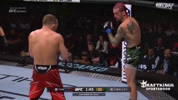 Шон О'мэлли против Петр Ян | ПОЛНЫЙ БОЙ UFC 292