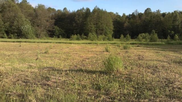 Мотоблок HONDA с почвофрезой в помощь моему китайцу Champion смотреть онлайн