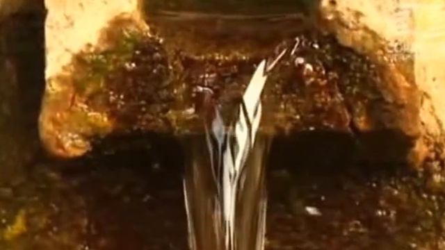 Корал Майн Коралловая вода. смотреть онлайн