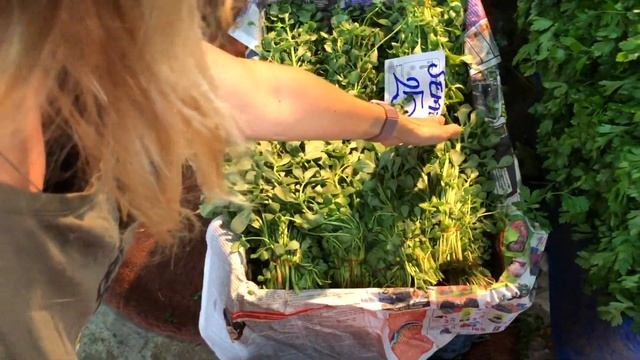 ЦЕНЫ НА РЫНКЕ В ЛИМАНЕ АНТАЛИЯ КОНЬЯАЛТЫ! (овощи и фрукты)