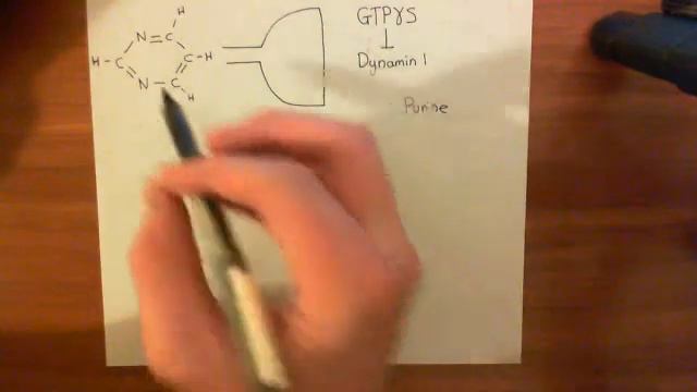 Dynamin and Endophilin Part 6 смотреть онлайн