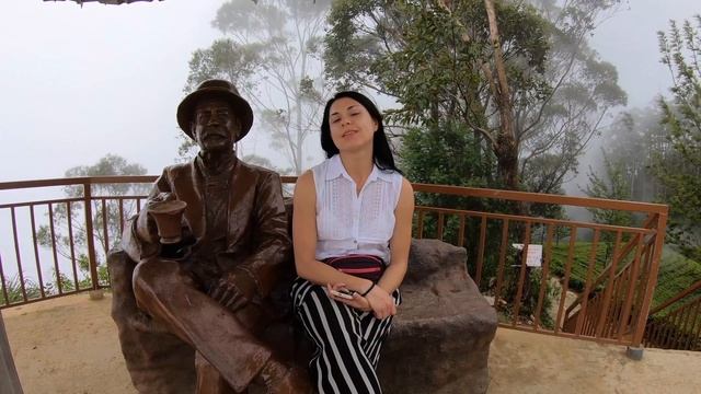 Что посмотреть на Шри Ланке. Лучший маршрут по Шри Ланке смотреть онлайн