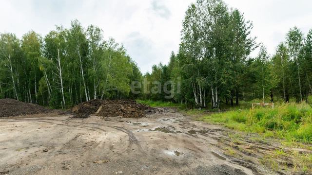 11305117 смотреть онлайн