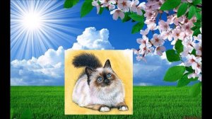 Муз.занятие ГКП «Кто пасется на лугу?»