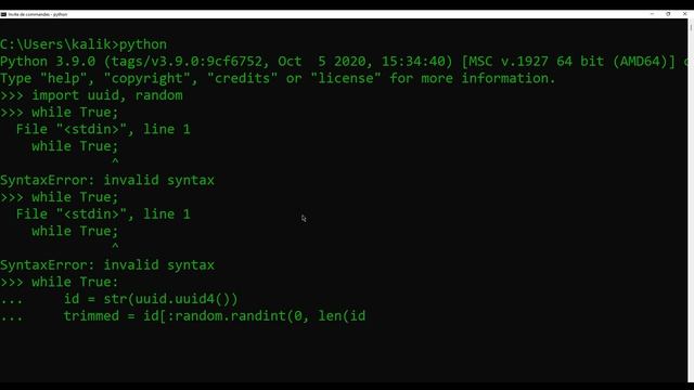 Let's Make A Hacking Machine In Python (kinda) смотреть онлайн