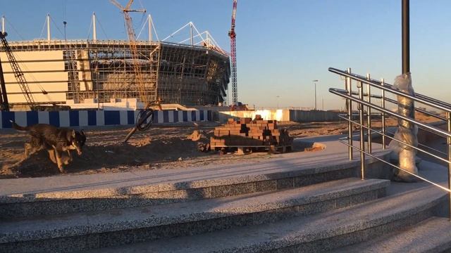 Калининград стадион ФИФА 2018