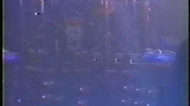 Killing Joke - 1 The Palladium, New York City, NY 1994-10-29 смотреть онлайн