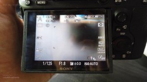 Как настроить камеру Sony a7 III для съемки портретов