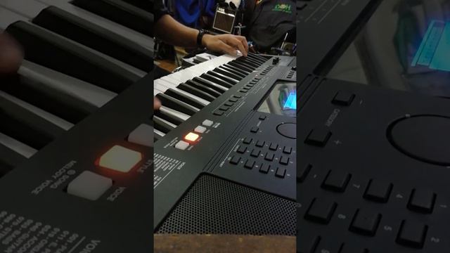 All My Loving by the Beatles cover by A. Lee with Yamaha PSR-E453 смотреть онлайн