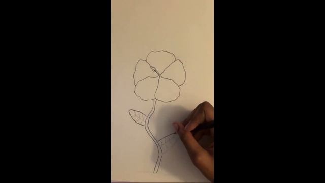 Drawing on Sketch Paper | Step by Step for Beginners | Flower Drawing | #9 смотреть онлайн