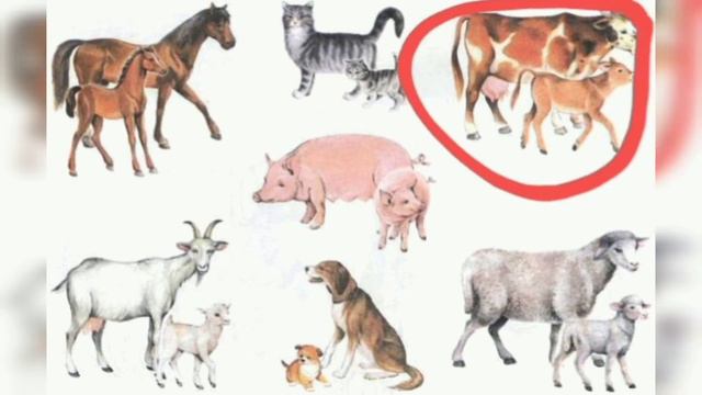Животные - корова/Animals-a cow🐮 #английскийстошей #ангглийскийдлядетей #видеоурокианглийский смотреть онлайн