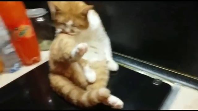 Борян неисправим ???