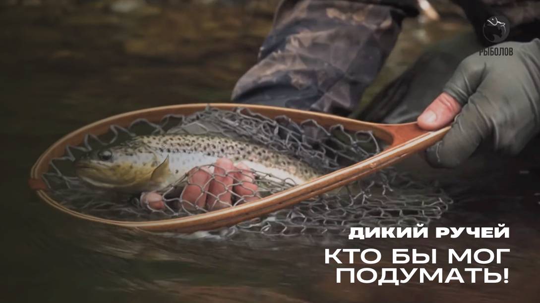 Кто бы мог подумать! Дикий ручей смотреть онлайн