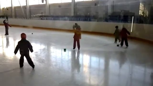 Тренировка по фигурному катанию. 24.01.2014 смотреть онлайн