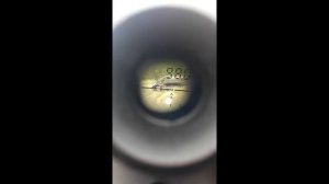 Крюгерка булпап 5.5 первый отстрел 1 МОА на 50 метров