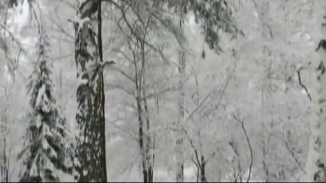 романс КЛЕН ТЫ МОЙ ОПАВШИЙ стихи СЕСЕНИНА поет В.ВОРОНЦОВ смотреть онлайн