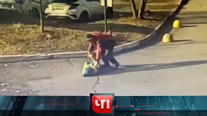 «ЧП»: 17 ноября 2022 года | «Чрезвычайное происшествие» на НТВ