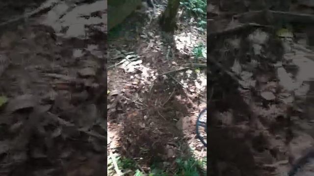 caçada com MD 3030 смотреть онлайн